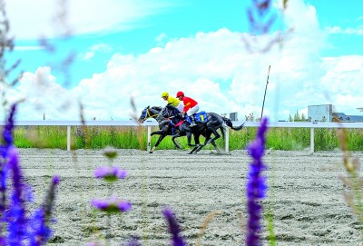 更多青年人参与 传统体育更竞技宝JJB入口年轻了(图1)
