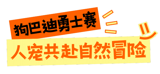 深圳这些赛事超萌超燃超多名场面竞技宝JJB(图5)